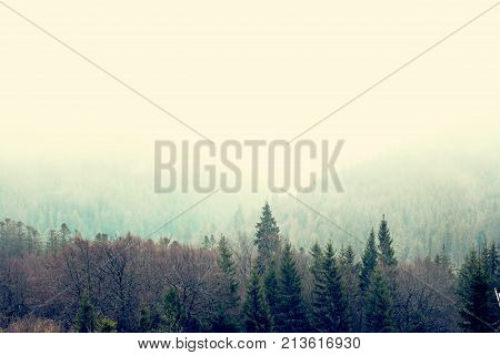 Mountain landscape in the fog. house in the mountains. Carpathian mountains. Majestic view on beautiful fog mountains in mist landscape. Dramatic unusual scene. Travel background. Exploring beauty world. Carpathian mountains. Ukraine. Europe.