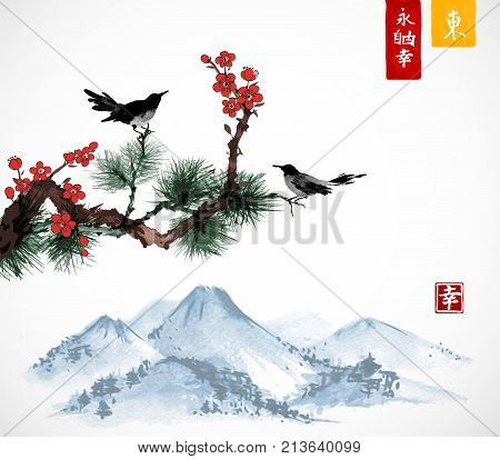 Two birds on sakura and pine tree branch and Fujyama mountain. Traditional Japanese ink painting sumi-e. Contains hieroglyphs - zen, freedom, nature, east.