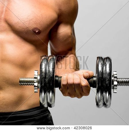 Fitness - powerful muscular man lifting weights