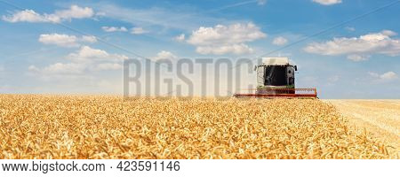 Scenic Front View Big Modern Industrial Combine Harvester Machine Reaping Gather Golden Ripe Wheat C