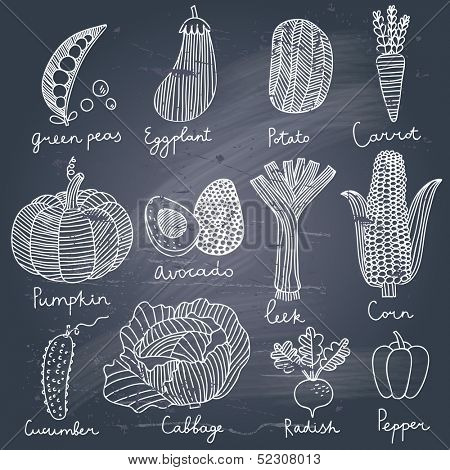 Tasty vegetables in vector set - green peas, eggplant, potato, carrot, pumpkin, avocado, leek, corn, cucumber, cabbage, radish, pepper. Tasty vegetarian concept collection