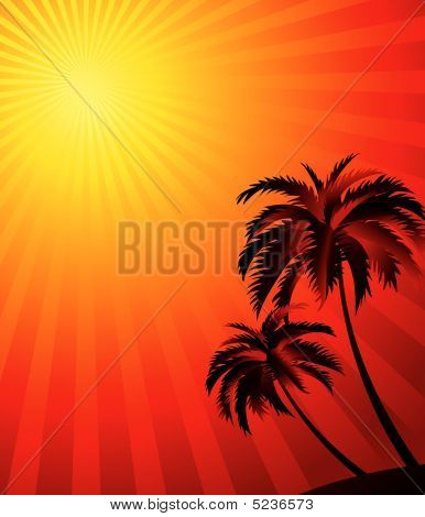 Tropical Background