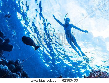 Active woman diving in the sea and enjoying wild nature, swimming underwater and consider different fishes, extreme sport, luxury summer vacation concept