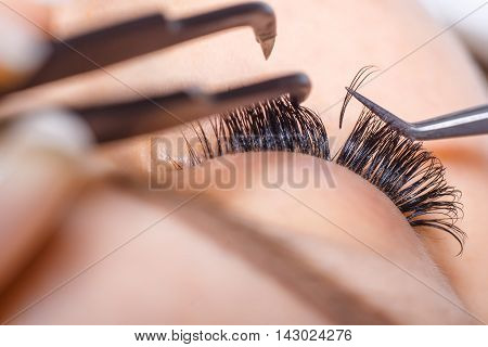 Eyelash Extension Procedure. Woman Eye with Long Eyelashes. Lashes. Close up, macro, selective focus