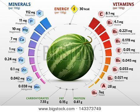 Vitamins and minerals of watermelon fruit. Infographics about nutrients in raw melon. Qualitative vector illustration for watermelon, vitamins, fruits, agriculture, health food, nutrients, diet, etc