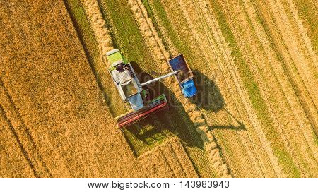 Harvester machine working in field . Combine harvester agriculture machine harvesting golden ripe wheat field. Agriculture. Aerial view. From above.