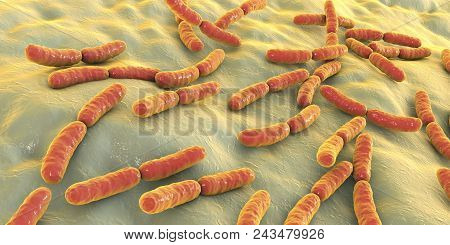 Bacteria Lactobacillus, 3d Illustration. Normal Flora Of Small Intestine, Lactic Acid Bacteria. Prob