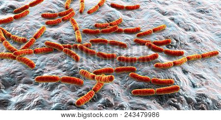 Bacteria Lactobacillus, 3d Illustration. Normal Flora Of Small Intestine, Lactic Acid Bacteria. Prob