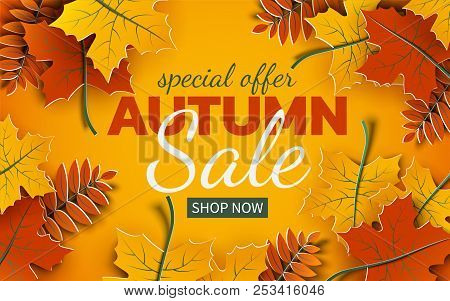 Autumn 3d Sale Banner, Paper Colorful Tree Leaves On Yellow Background. Autumnal Design For Fall Sea