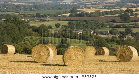 paysage agricole de la haybales champ de maïs