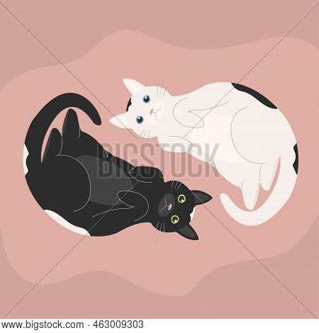 Yin Yang Cats. Cute Black And White Cats In Yinyang Circle. Vector Illustration