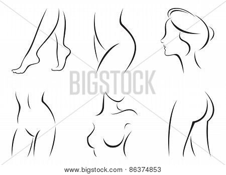 Set Of Stylized Body Parts