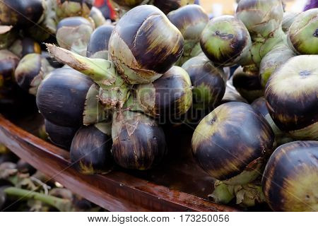 Sugar Palm and Fruit  black in boat