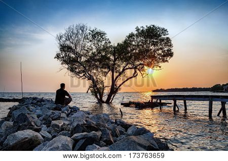 man in frustrated depression sitting alone on the rock dam extended into the sea and looking at tree in the shape of heart on sunset. the concept of lonely sadness depressed and broken heart.