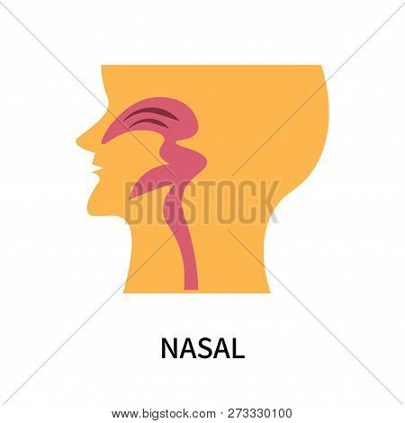 Nasal Icon Isolated On White Background. Nasal Icon Simple Sign. Nasal Icon Trendy And Modern Symbol