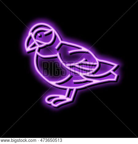 Atlantic Puffin Bird Exotic Neon Light Sign Vector. Atlantic Puffin Bird Exotic Sign. Isolated Symbo