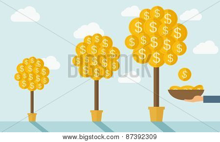 Three steps in growing a money dollar plant from small to bigger plant in a pot. Financial growth concept.  A contemporary style with pastel palette soft blue tinted background with desaturated clouds