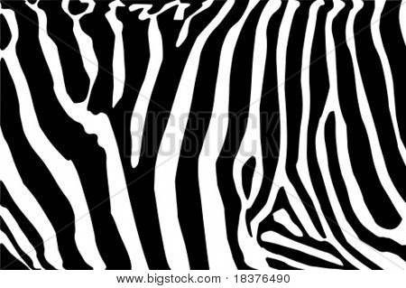 Vector - zebra texture mustavalkoinen