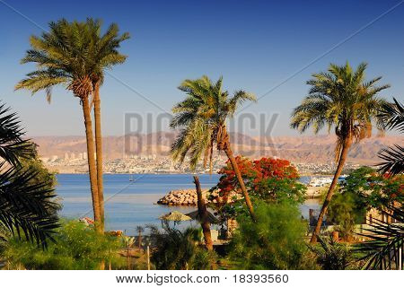 View on Eilat in Israel from Aqaba in Jordan: diving destinations on the Red Sea