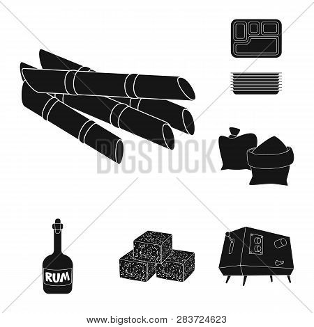 Vector Design Of Sucrose And Technology Sign. Set Of Sucrose And Cane Vector Icon For Stock.