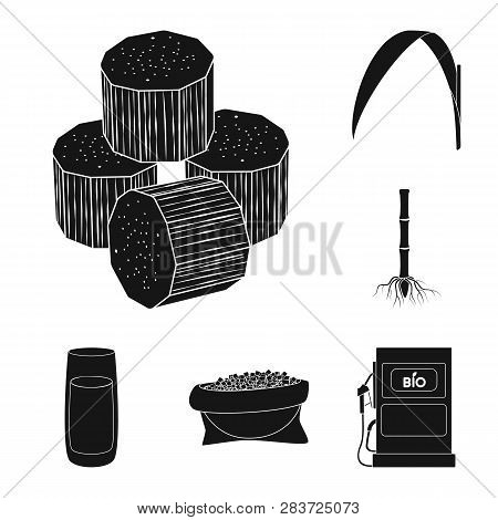 Vector Design Of Sucrose And Technology Logo. Set Of Sucrose And Cane Vector Icon For Stock.