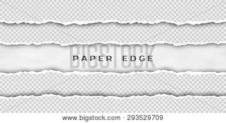 Paper Tear Border. Set Of Torn Horizontal Seamless Paper Stripes. Paper Texture With Damaged Edge Is