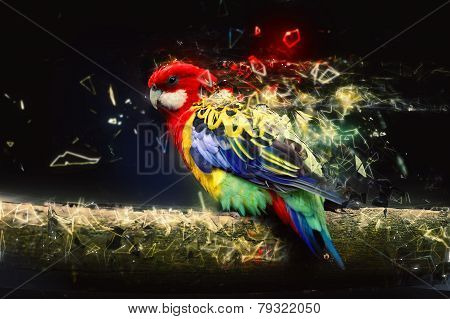 Parrot on the branch, abstract animal concept