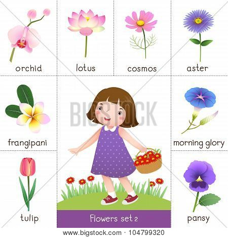 Printable Flash Card For Flowers And Little Girl Picking Flower