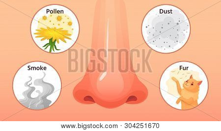 Allergic Sickness. Red Nose, Allergy Illnesses Symptoms And Allergens. Smoke, Pollen And Dust Allerg