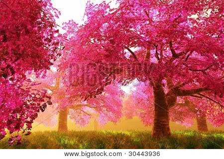 Mysterious Japanese Cherry Blossom Tree Sakura 3D render