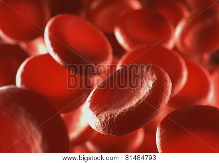 Red Blood Cells