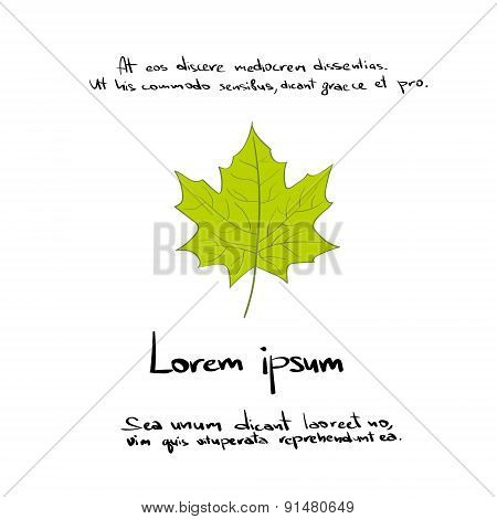 Maple Gren Leaf Hand Draw Color Icon Vector