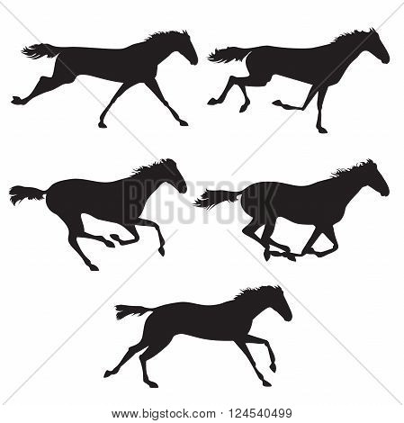 Collection of horse race horse jump and horse run. Silhouettes of horses. Black horses on isolated background. Set of wild horses. Vector horse collection