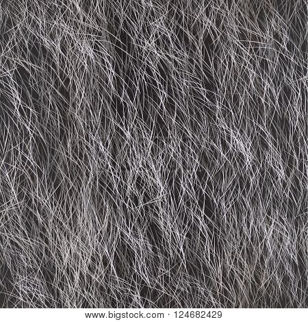 Arctic Fox Fur, Dog Fur, Wolf Fur. Digital Animal Fur  Illustration.