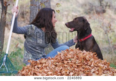 Ratisser les feuilles