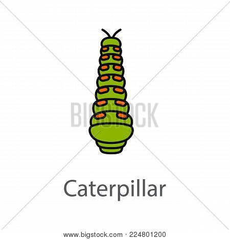 Caterpillar color icon. Butterfly larval stage. Isolated vector illustration