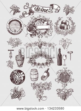 Wine and winemaking vintage set. Wine template design. Vector illustration. Sketch style design. Red wine, white wine. Handdrawn grapes.