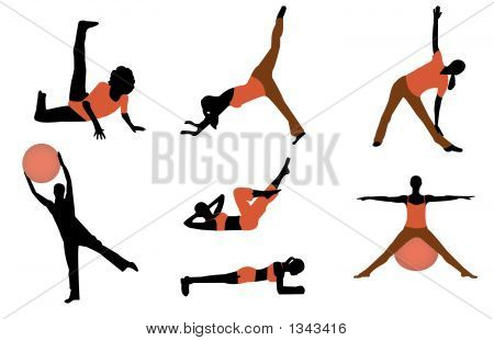 Exercise Illustrations