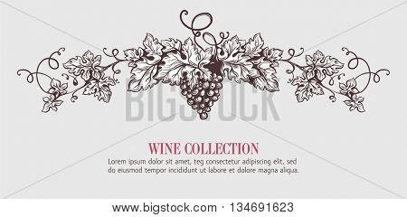 Wine grapes wreath template design. Vector illustration. Sketch style design. Red wine, white wine. Handdrawn grapes.