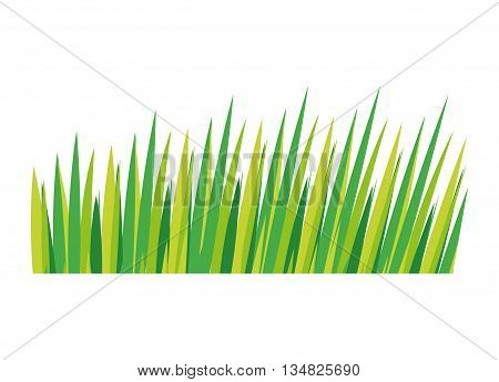 Nature grass represented by green leaves over isolated and flat illustration