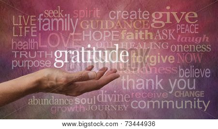 Gratitude Attitude