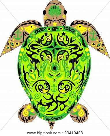 Turtle