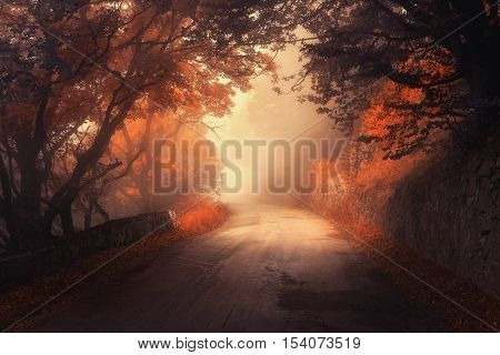 Mystical Autumn Red Forest With Road In Fog