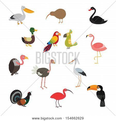 Bird set cartoon colorful vector illustration. Pictures for kids