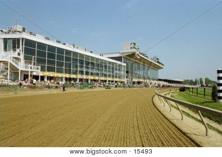 Horse Racetrack