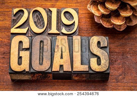 2019 goals banner - New Year resolution concept - text in vintage letterpress wood type printing blocks against grained wood with a pine cone