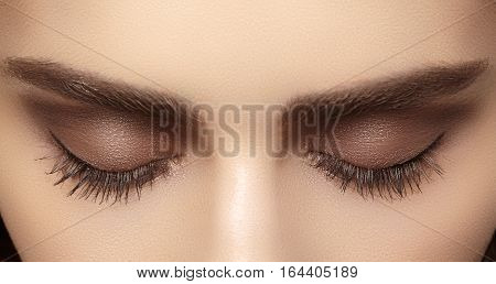 Beautiful macro shot of female eye with classic smoky makeup. Perfect shape of eyebrows brown eyeshadows and long eyelashes. Cosmetics and make-up. Closeup macro shot of fashion smoky eyes visage