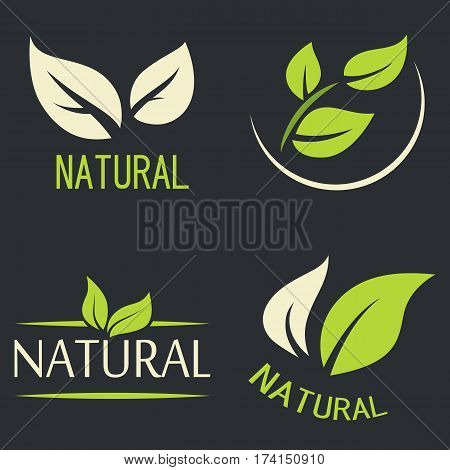 Set of labels logos with text. Natural eco food. Organic food badges in vector (cosmetic food). Vector logos. Natural logos with leaves.