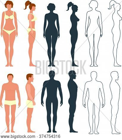 Male And Female Anatomy Human Character, People Dummy Front And View Side Body Silhouette, Isolated 