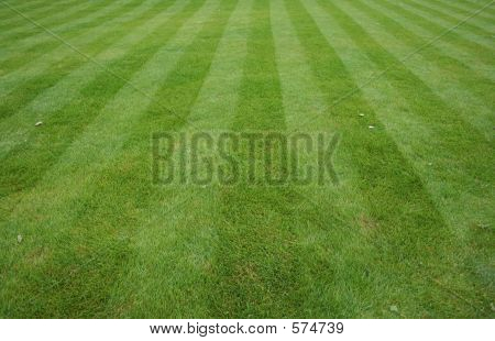 grass background